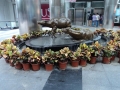 dsc00793